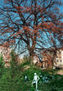 EL JARDÍN DEL CONOCIMIENTO