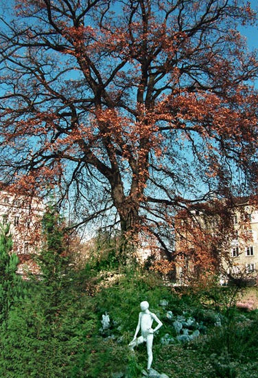 EL JARDÍN DEL CONOCIMIENTO 