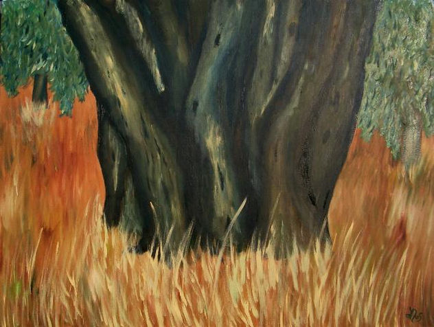 Olivero - Olivenbaum