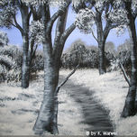 paisajes / landscapes thumbnail 2