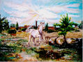 Cavallo