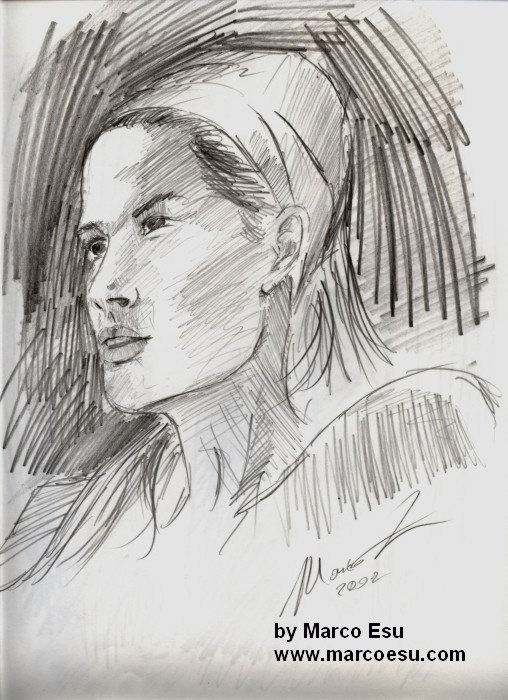 disegno 4