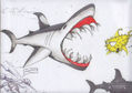tiburón