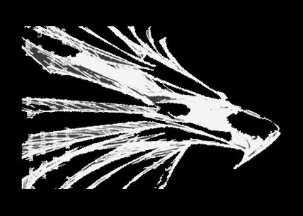 Predator