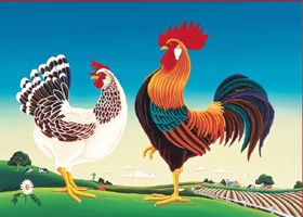 Gallo y Gallina