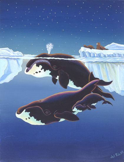 Bow Head Whales Acrylic Canvas Animals