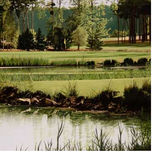 Paisajes thumbnail 2