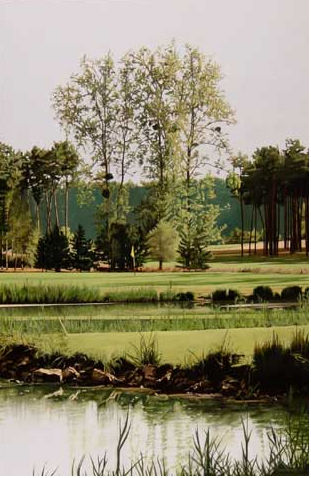 Golf Château de Cheverny Acrílico Lienzo Paisaje