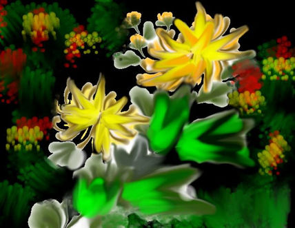 Flores2