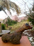 WATER BIRD 554/2011