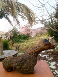 Water bird 554/2011