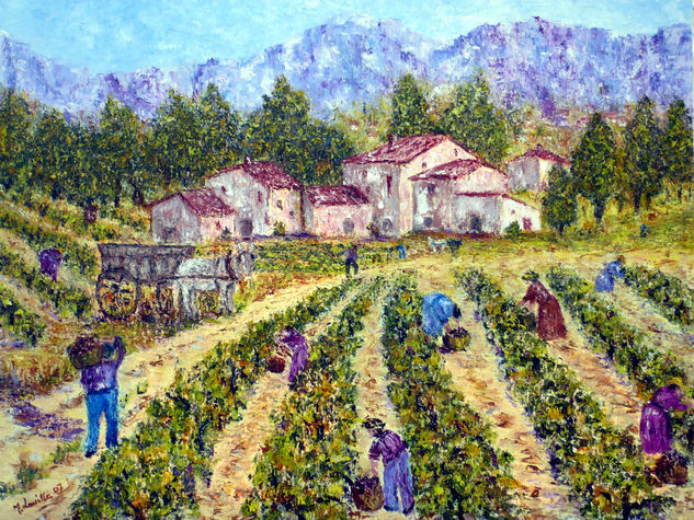 les vendanges dans le var 