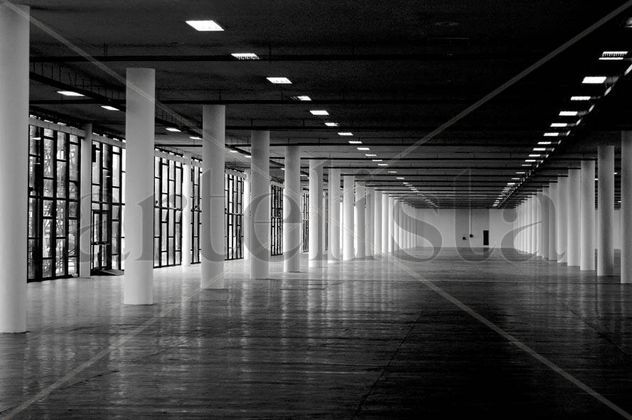 PORTA DE FUGA / ESCAPE DOOR 28ª BIENAL DE ARTE DE SAO PAULO 2008