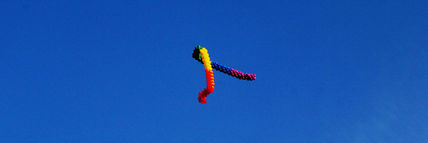 Cromossomo.dna.lgbt...