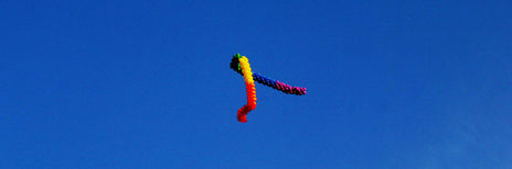 Cromossomo.dna.lgbt...