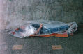 INSTALACION 04 empaquetage (Christo)