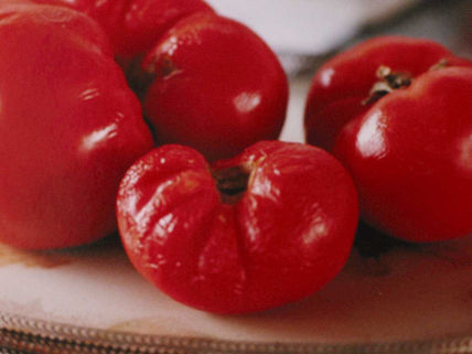 Vermelho tomate 01