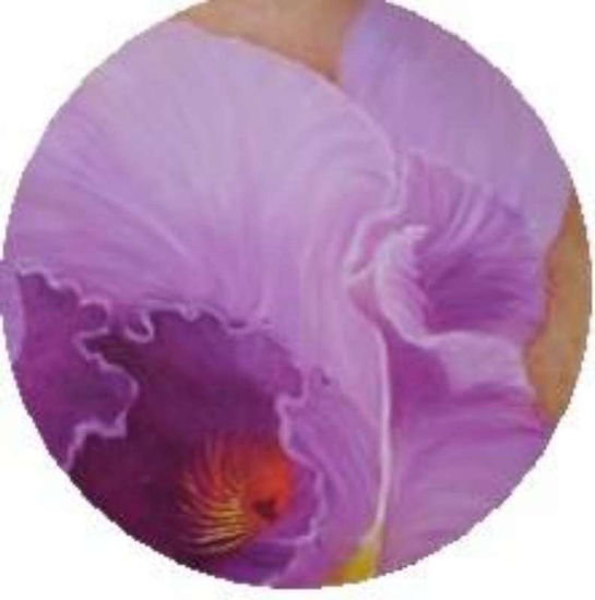 flor 3 Oil Canvas Floral Painting