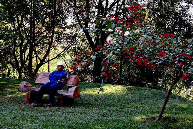 SALETE no Parque Anhanguera em Sao Paulo
