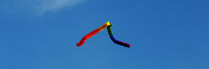 Cromossomo.dna.lgbt...