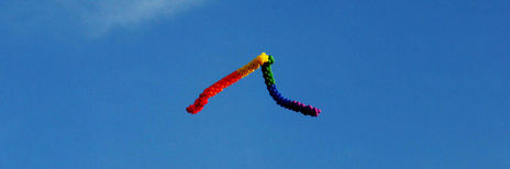 Cromossomo.dna.lgbt...