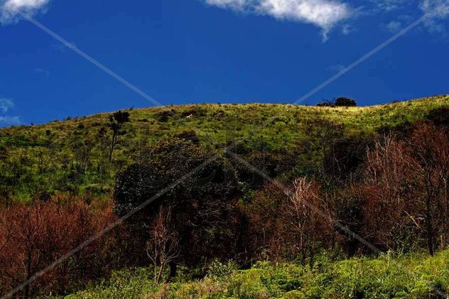 STALKERKÓVSKI 14 (FOTO para decoracion de datcha de magnata russo)