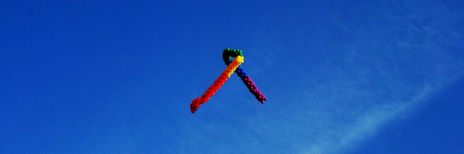 Cromossomo.dna.lgbt...
