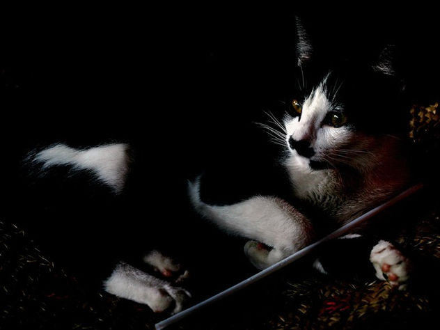 BRIGIT 14 (pose no atelier de Rembrandt)