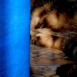 SEM TITULO COM TITULO / NO TITLE WITH TITLE thumbnail 2