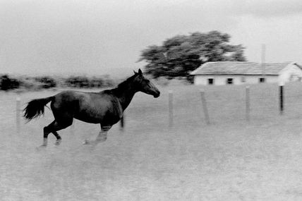 Paisaje com caballo
