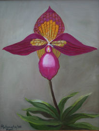 Orquidea III