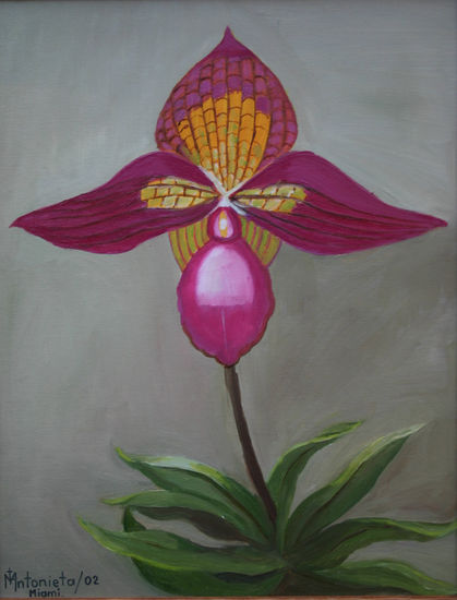 Orquidea III Oil Canvas