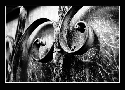 Riccioli metallici #02