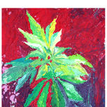 pintura thumbnail 1