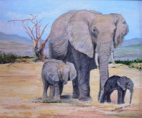 Elephants d'Afrique