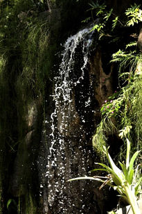 Cascata Parque da Luz