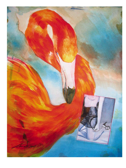 flamingo