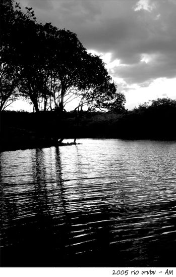 amazonia 5 Nature Black and White (Digital)