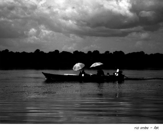 amazonia 2 Nature Black and White (Digital)