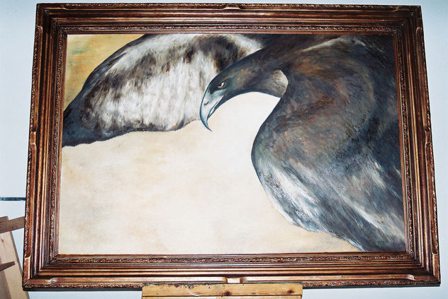 aigle
