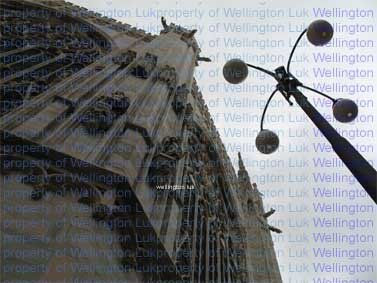 Wellington Luk -...