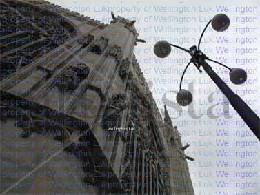 Wellington Luk -...