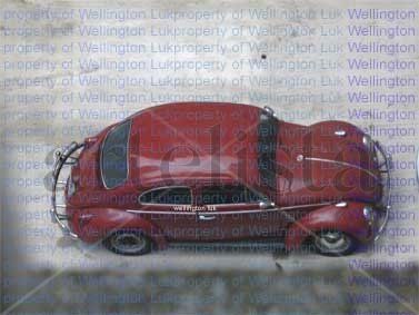 Wellington Luk -...