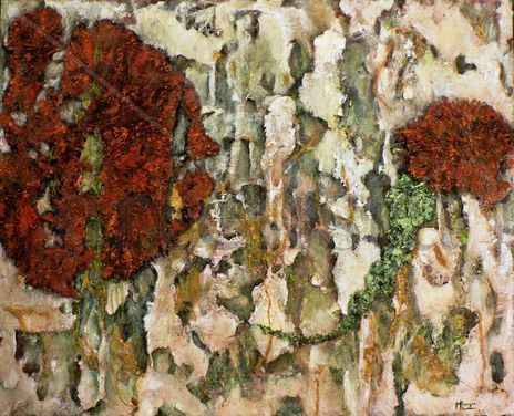 Liquen / lichen