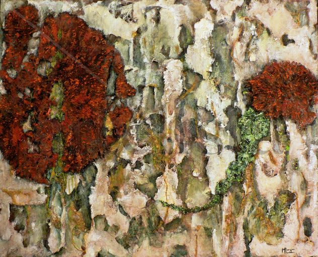 LIQUEN / LICHEN