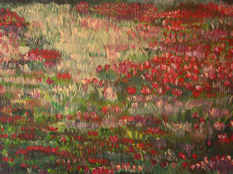 Campo de amapolas