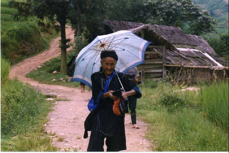 Hmong Tribute
