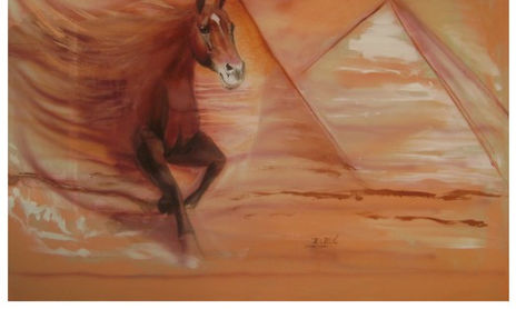 cavalos