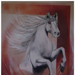cavalos thumbnail 1