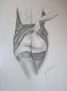 desnudo 2009-018 picardia